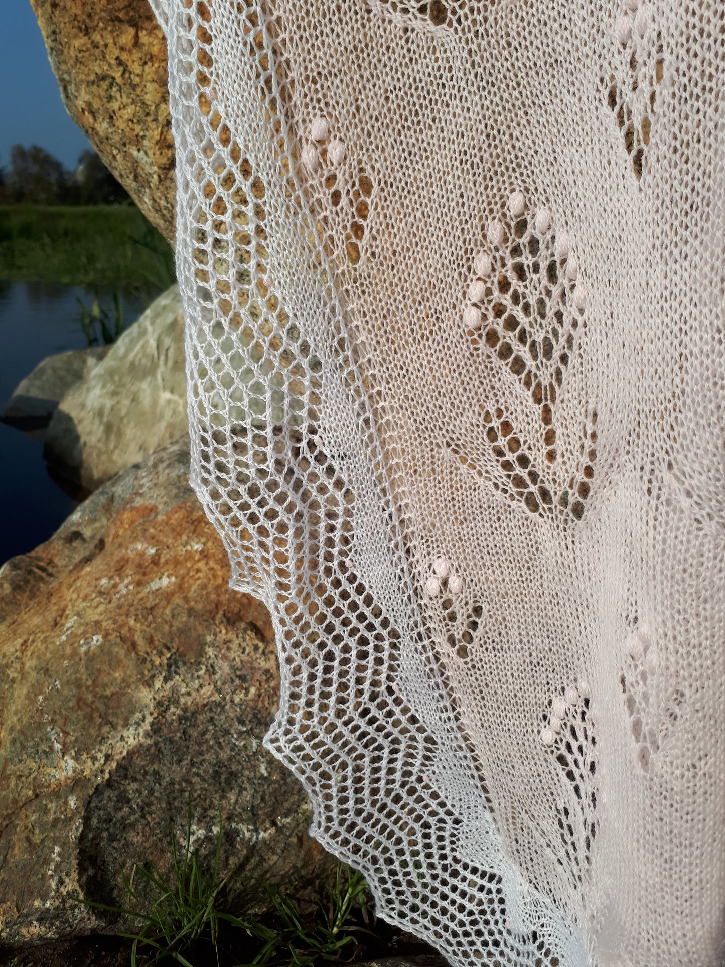 Field Of Dreams NL PDF