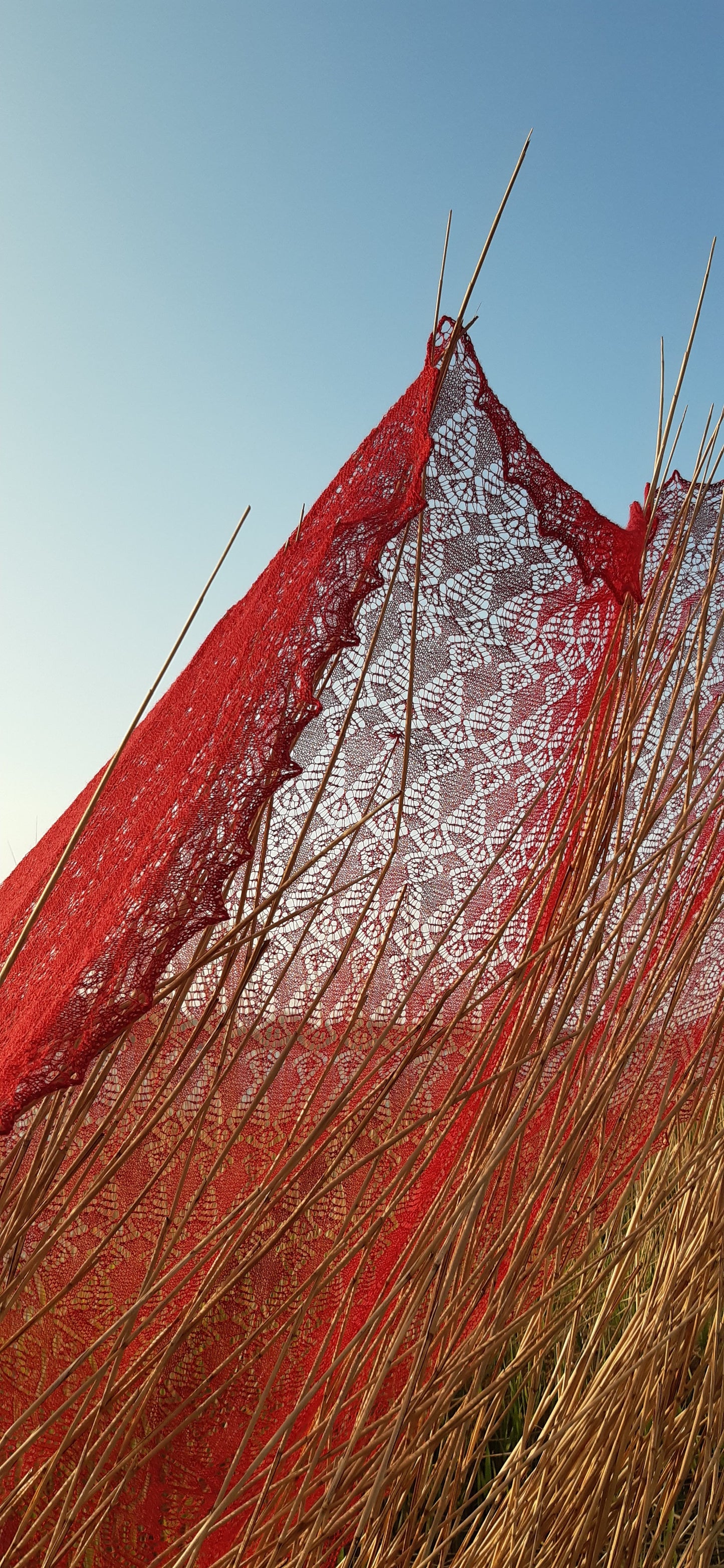 The Fourth One PDF NL