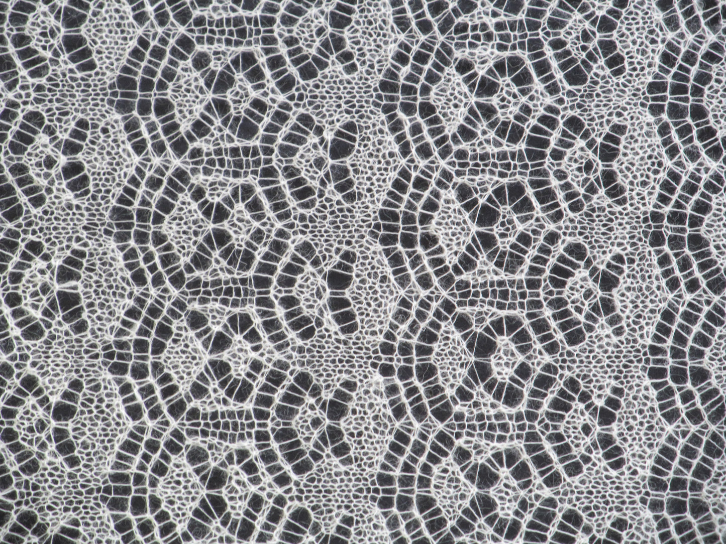 Shetland Bound NL PDF